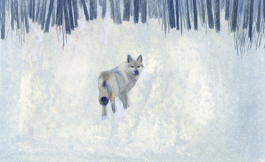 The last wolf hunter #14